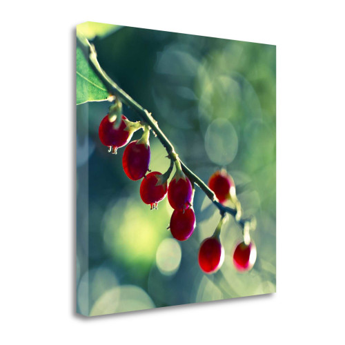 Luscious Wrapped Canvas Print Living Room Wall Art
