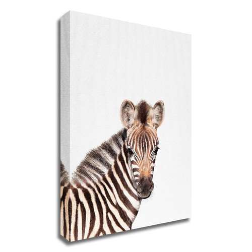 "Baby Zebra" Wrapped Canvas Print Wall Art