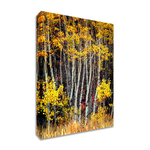 In The Aspens 3 Wrapped Canvas Print Wall Art