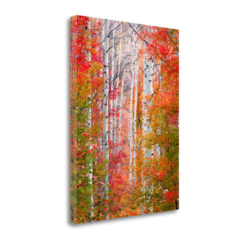 Autumn Passage 2 Wrapped Canvas Print Wall Art