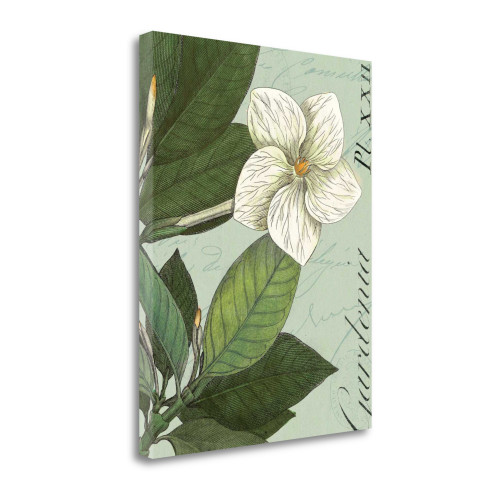 Botanique Bleu III Wrapped Canvas Print Living Room Wall Art