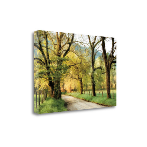 Warm Morning Light 1 Wrapped Canvas Print Living Room Wall Art