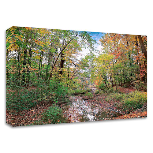 "Autumn At Hopkins Pond" Wrapped Canvas Print Wall Art