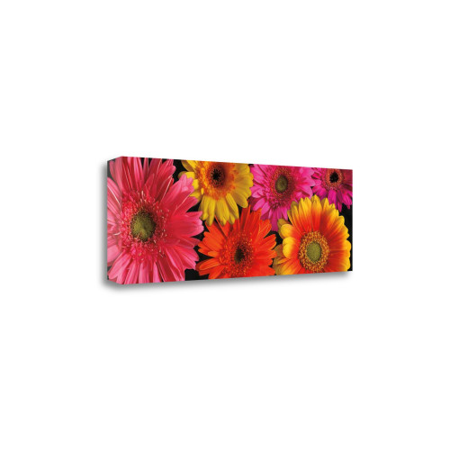 Simply Spring 1 Wrapped Canvas Print Living Room Wall Art