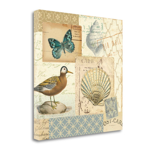 Coastal Collage I Wrapped Canvas Print Living Room Wall Art
