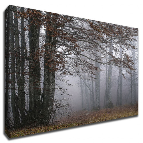 Autumn Paintings Wrapped Canvas Print Wall Art