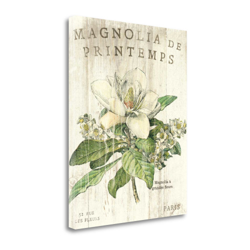 Magnolia De Printemps 4 Wrapped Canvas Print Living Room Wall Art