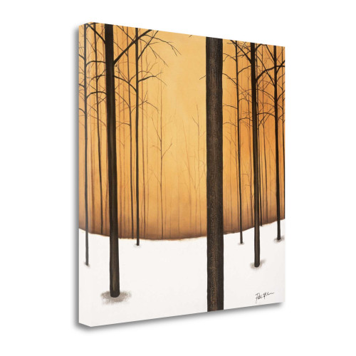 Golden Twilight 1 Wrapped Canvas Print Wall Art