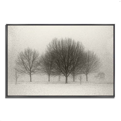 Fading Memories 4 Black Wrapped Canvas Print Wall Art