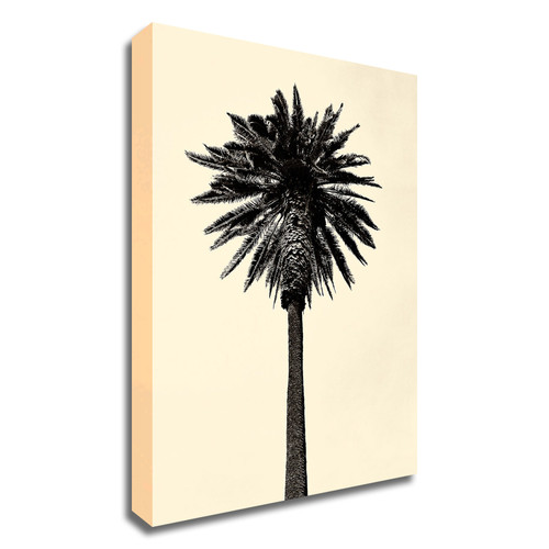 "Palm Tree 1979 Tan" Wrapped Canvas Print Wall Art