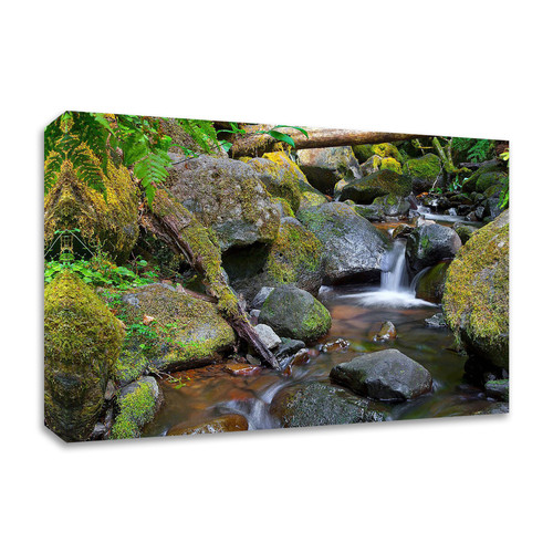 Mossy Stream Wrapped Canvas Print Wall Art