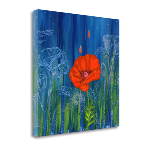 Poppy Night 2 Wrapped Canvas Print Living Room Wall Art