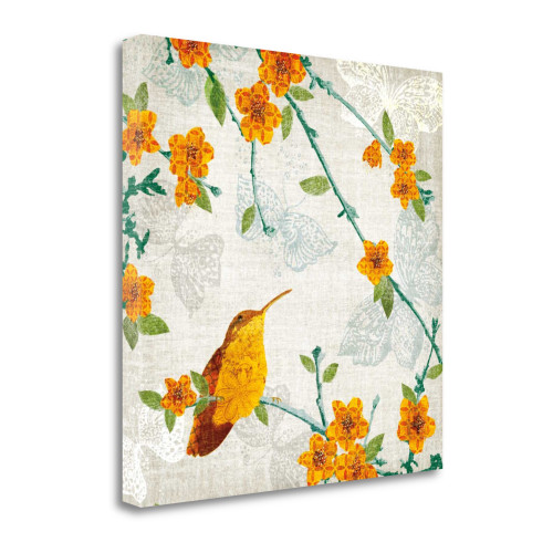 Birds And Butterflies Iii Wrapped Canvas Print Wall Art