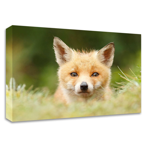 "Bad Fur Day" Wrapped Canvas Print Wall Art