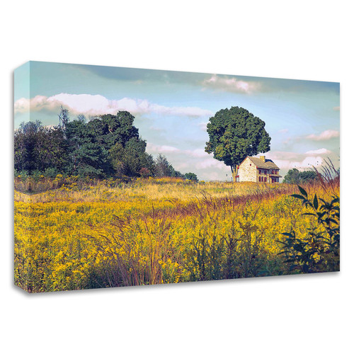 "House On A Hill" Wrapped Canvas Print Wall Art