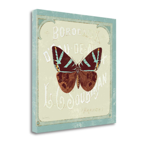 Parisian Butterfly II Wrapped Canvas Print Living Room Wall Art