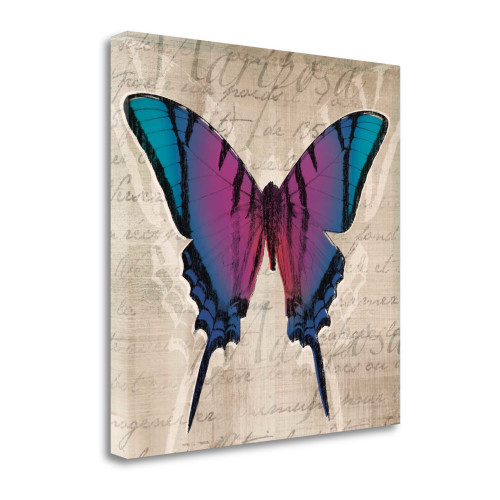 Butterflies Iv Wrapped Canvas Print Wall Art