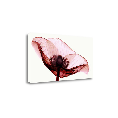 Anemone I Wrapped Canvas Print Living Room Wall Art