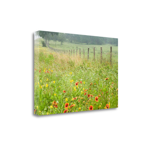 Flowers And Fence 3 Wrapped Canvas Print Living Room Wall Art