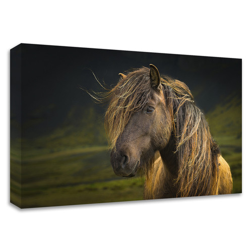"Born To Be Wild" Wrapped Canvas Print Wall Art