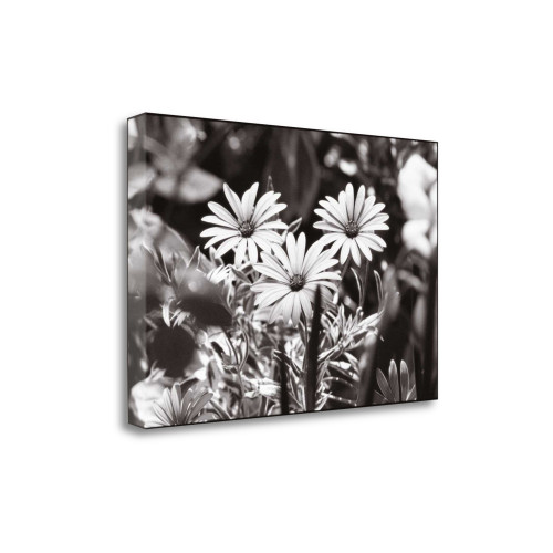 Americana 6 Wrapped Canvas Print Wall Art