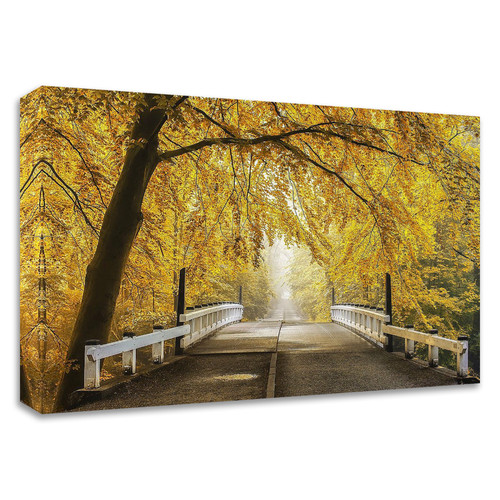 "Bridge To Fall Iii" Wrapped Canvas Print Wall Art