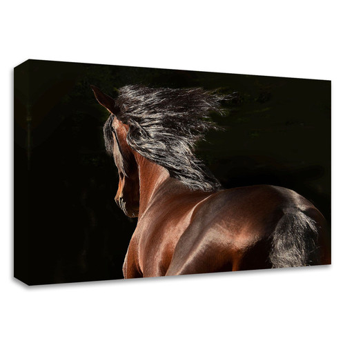 "Reflection" Wrapped Canvas Print Wall Art