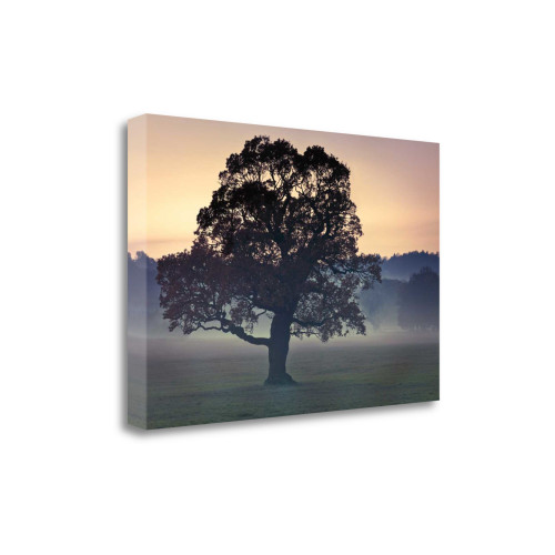 Evening Wisdom 1 Wrapped Canvas Print Living Room Wall Art