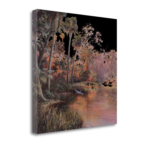 Myakka Sunset 1 Wrapped Canvas Print Living Room Wall Art