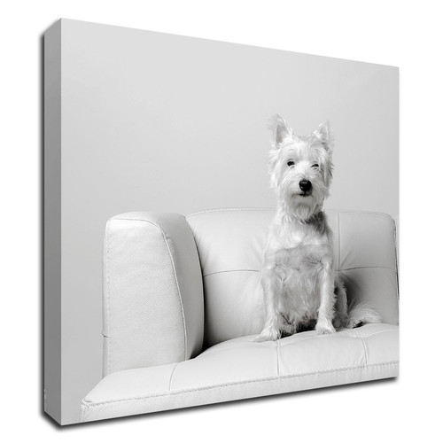 White On White Wrapped Canvas Print Wall Art