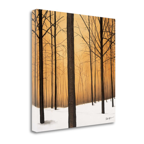 Winter Warmth 4 Wrapped Canvas Print Wall Art
