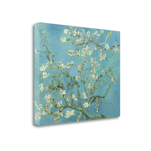 Almond Blossoms 1890 Wrapped Canvas Print Wall Art