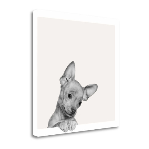 Sweet Chihuahua 4 Wrapped Canvas Print Wall Art