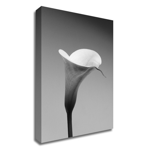 "Calla No. 3" Wrapped Canvas Print Wall Art