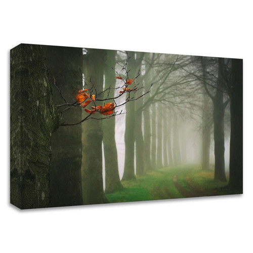 "Old &amp;amp; New" Wrapped Canvas Print Wall Art