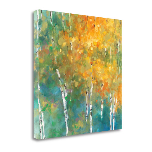 Confetti II Wrapped Canvas Print Living Room Wall Art