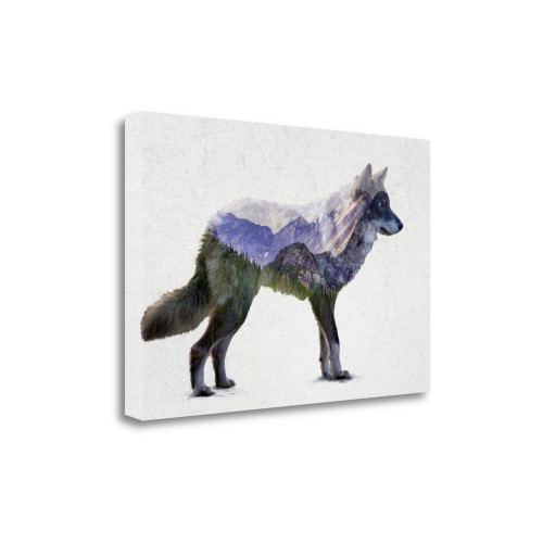 Rocky Mountain Grey Wolf 4 Wrapped Canvas Print Living Room Wall Art