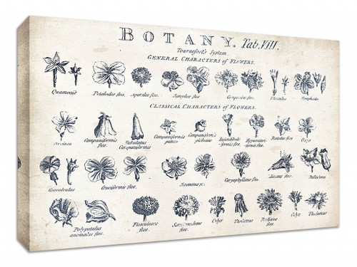 Botany Tab Viii Indigo And White Wrapped Canvas Print Wall Art
