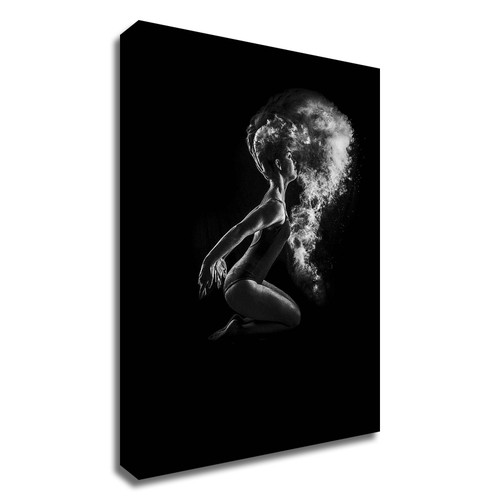 Dusted Wrapped Canvas Print Wall Art