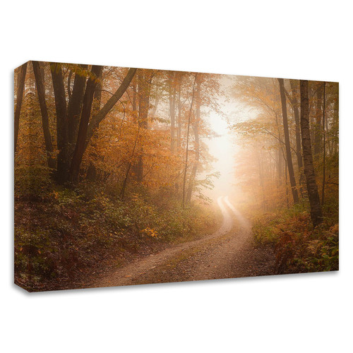 "Familiar Dream" Wrapped Canvas Print Wall Art