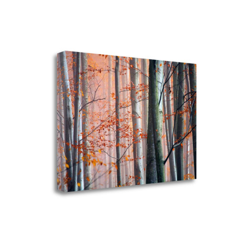 Autumn Woods 3 Wrapped Canvas Print Wall Art