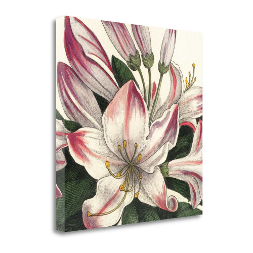 Botanique Square II Wrapped Canvas Print Living Room Wall Art