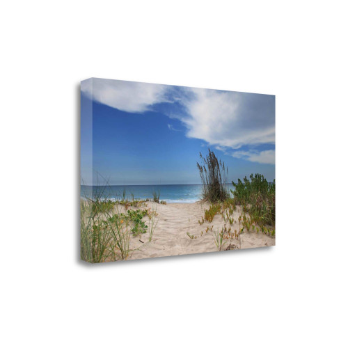 Dune Trail 4 Wrapped Canvas Print Living Room Wall Art