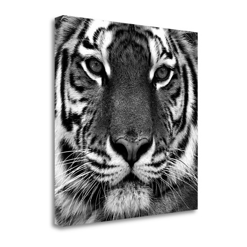 Tiger 2 Wrapped Canvas Print Living Room Wall Art