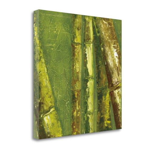 Bamboo Columbia I Wrapped Canvas Print Wall Art