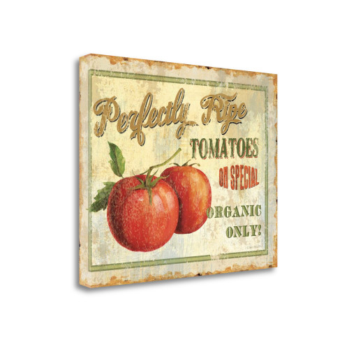 Fresh III Wrapped Canvas Print Living Room Wall Art