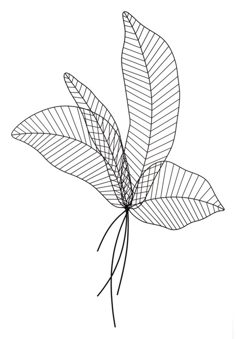 Matte Black Boho Chic Palm Leaf Wall Art