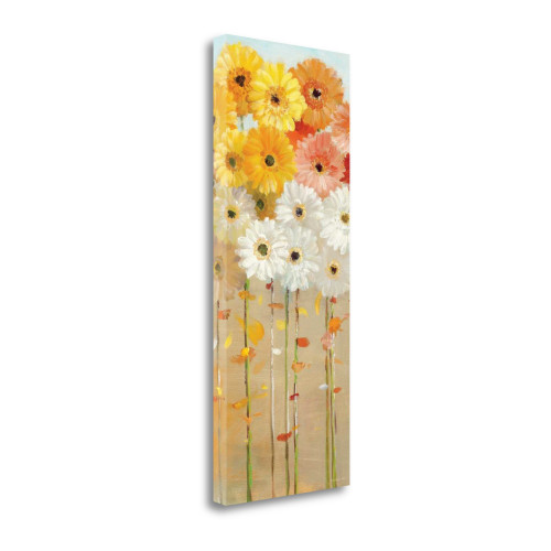 Daisies Fall I Wrapped Canvas Print Living Room Wall Art