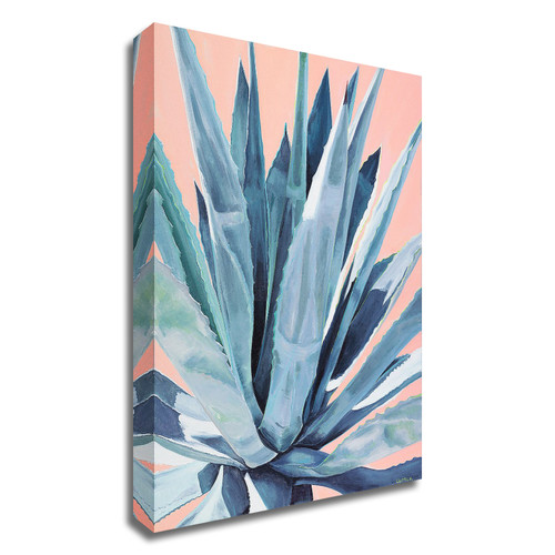 Agave With Coral Wrapped Canvas Print Wall Art