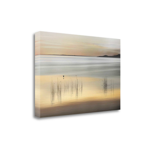 Golden 2 Wrapped Canvas Print Wall Art